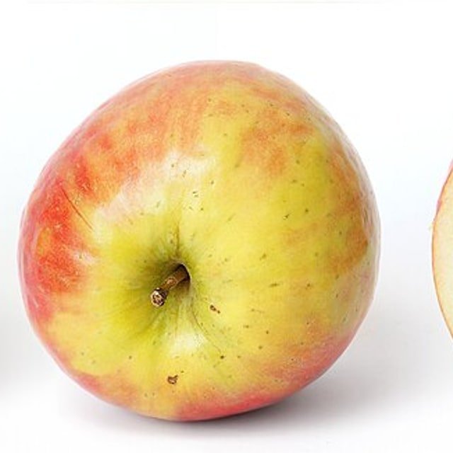 Apple Seed for planting