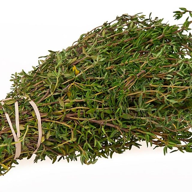 Thyme Seed
