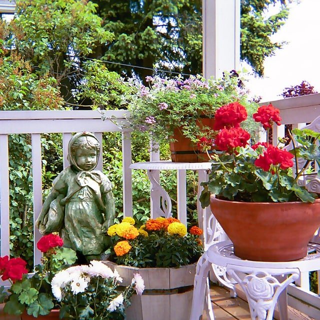 Terrace Garden Seed Mix
